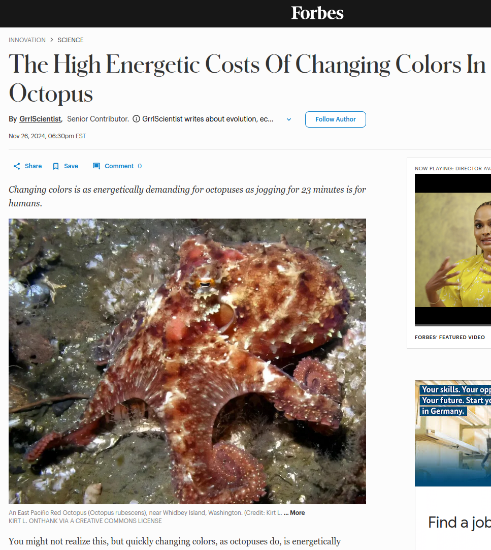Forbes article on the high energetic costs of changing colors in octopus