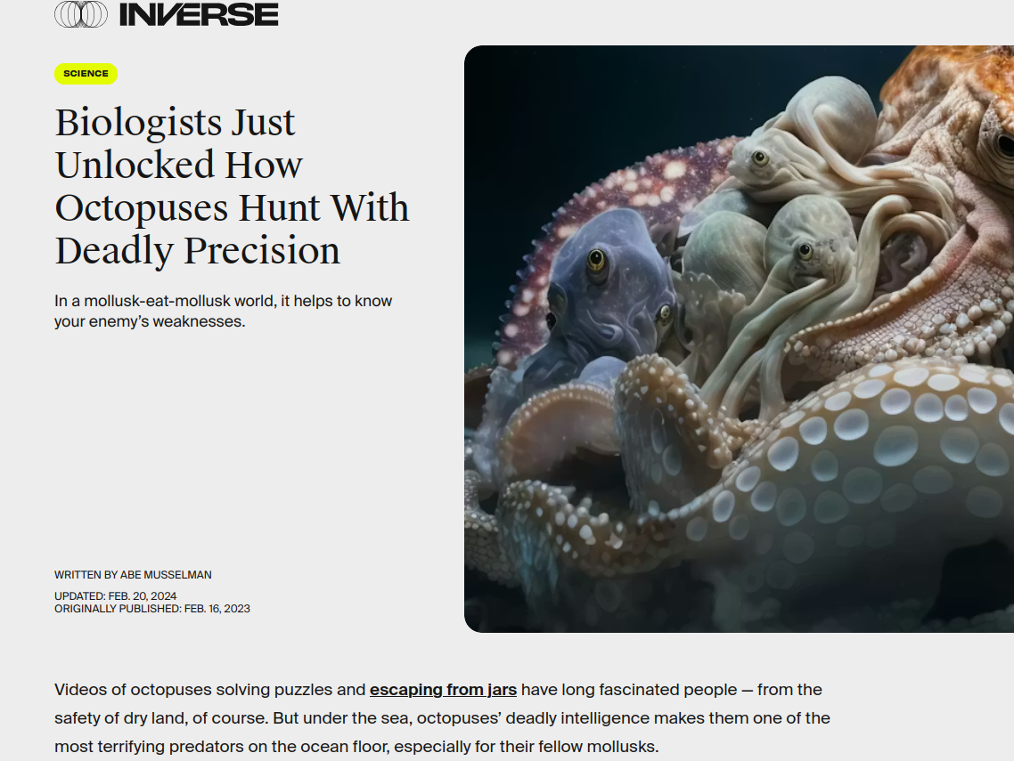 Inverse article on octopus attacks and precision