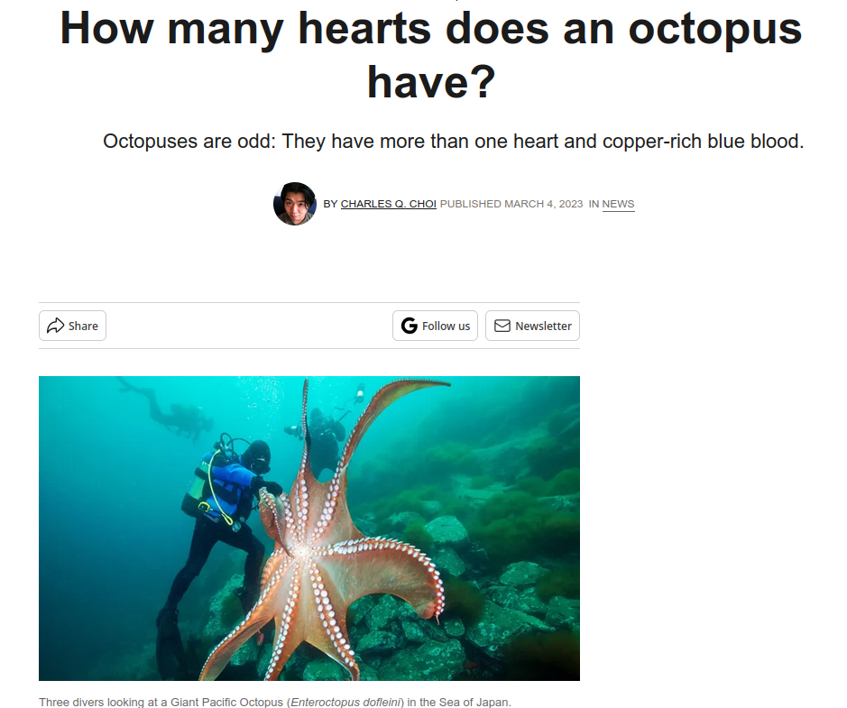 Live Science article about octopus hearts