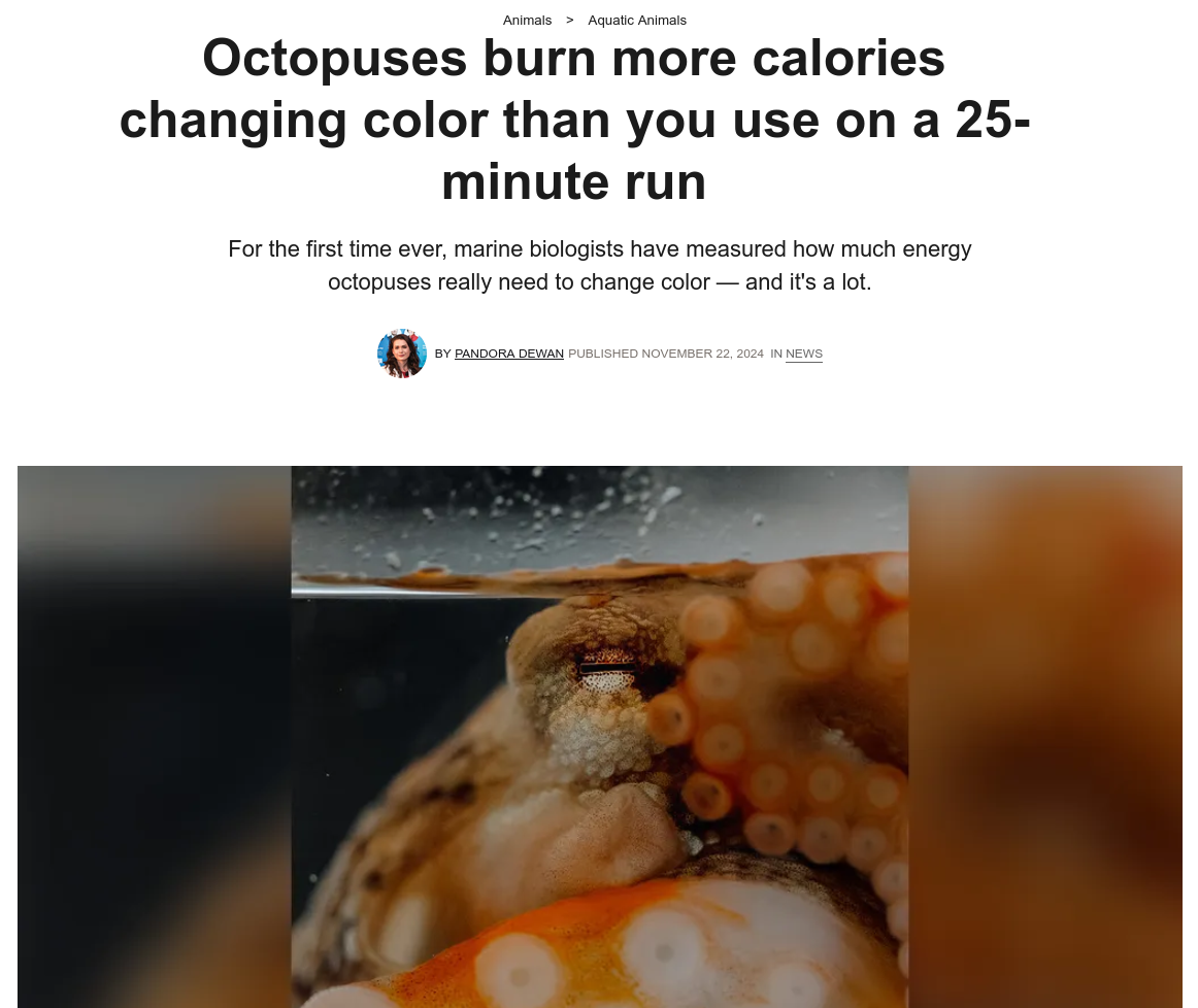 Live Science article on the energetic costs of octopus color change
