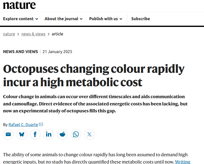 Nature article on the metabolic cost of octopus color change