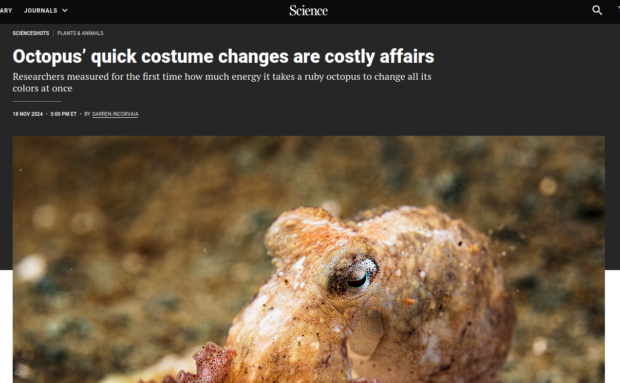 Science article on energetic costs of octopus costume changes