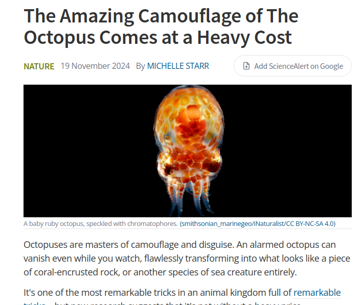 ScienceAlert article about the cost of octopus camouflage