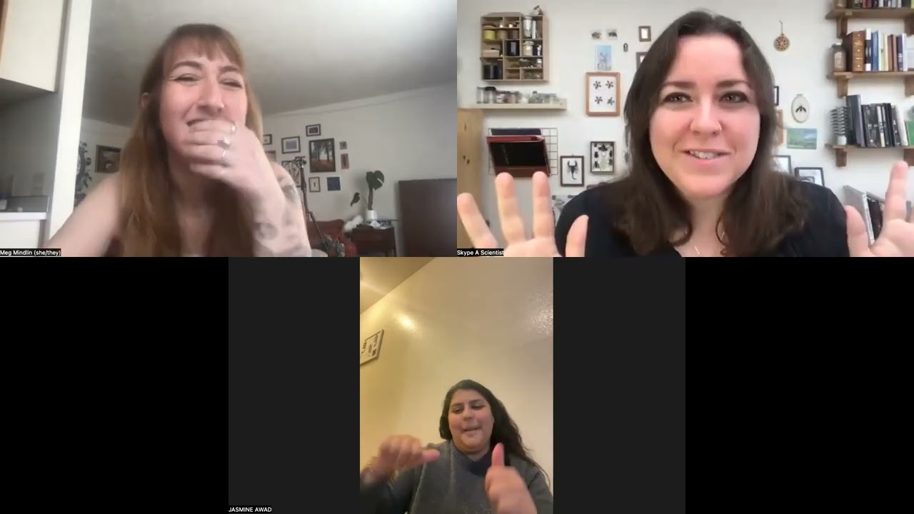 Skype A Scientist YouTube livestream with Meg Mindlin on octopus adaptations